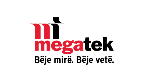 Megatek, klient i Idea Audit